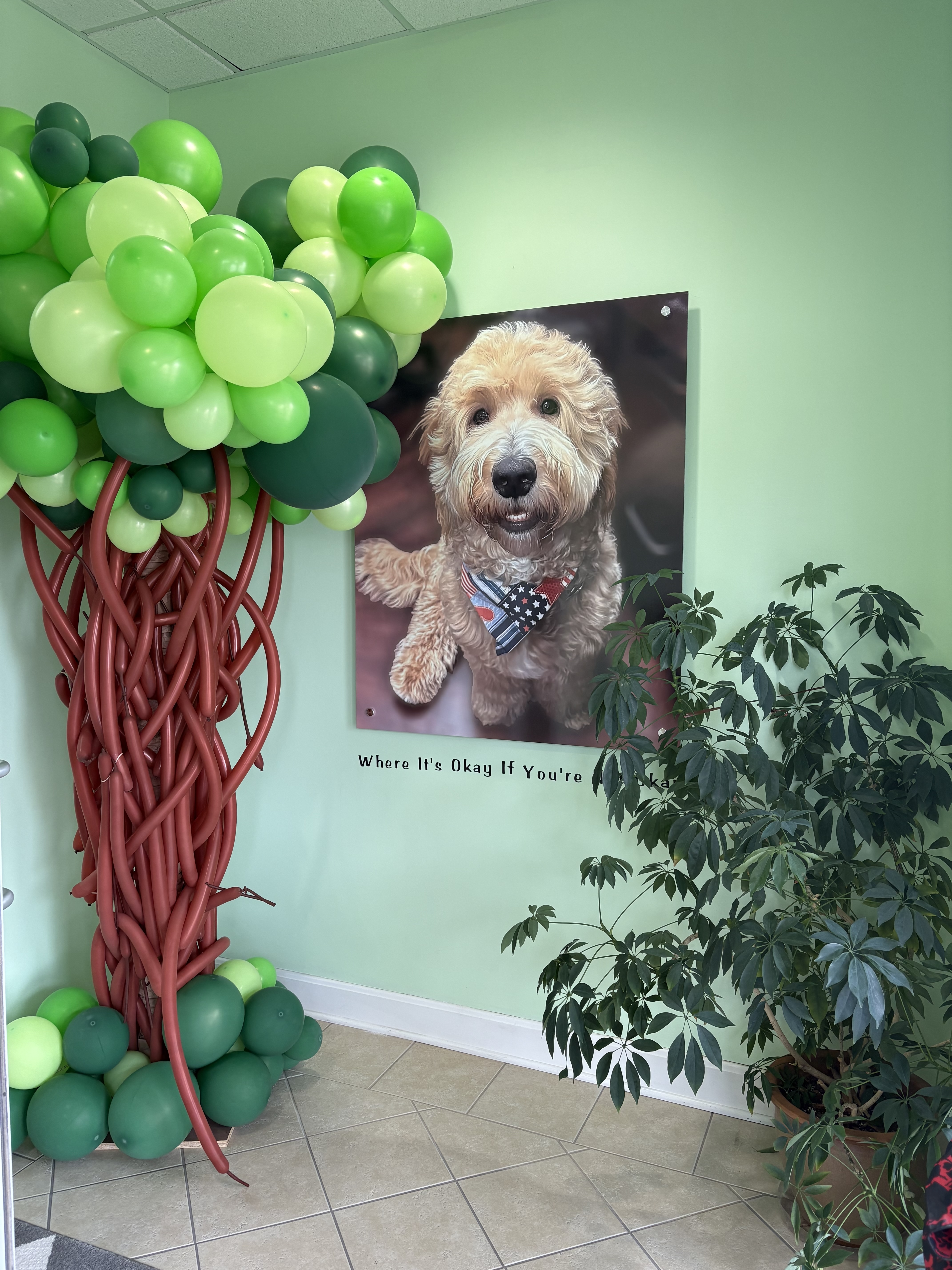 Tucker's Treehouse Commercial 